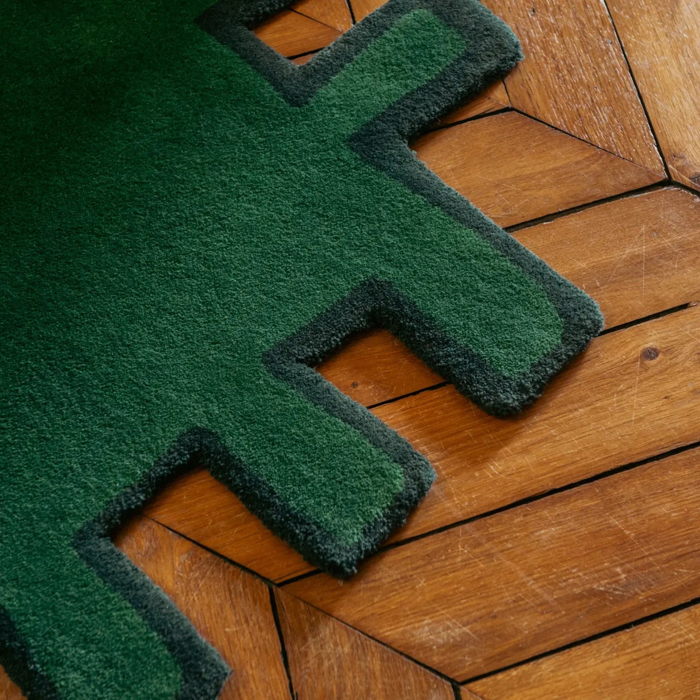 Corner of Biscuit Green shaggy abstract geometric rug with black border on wooden floor by Housenfriends