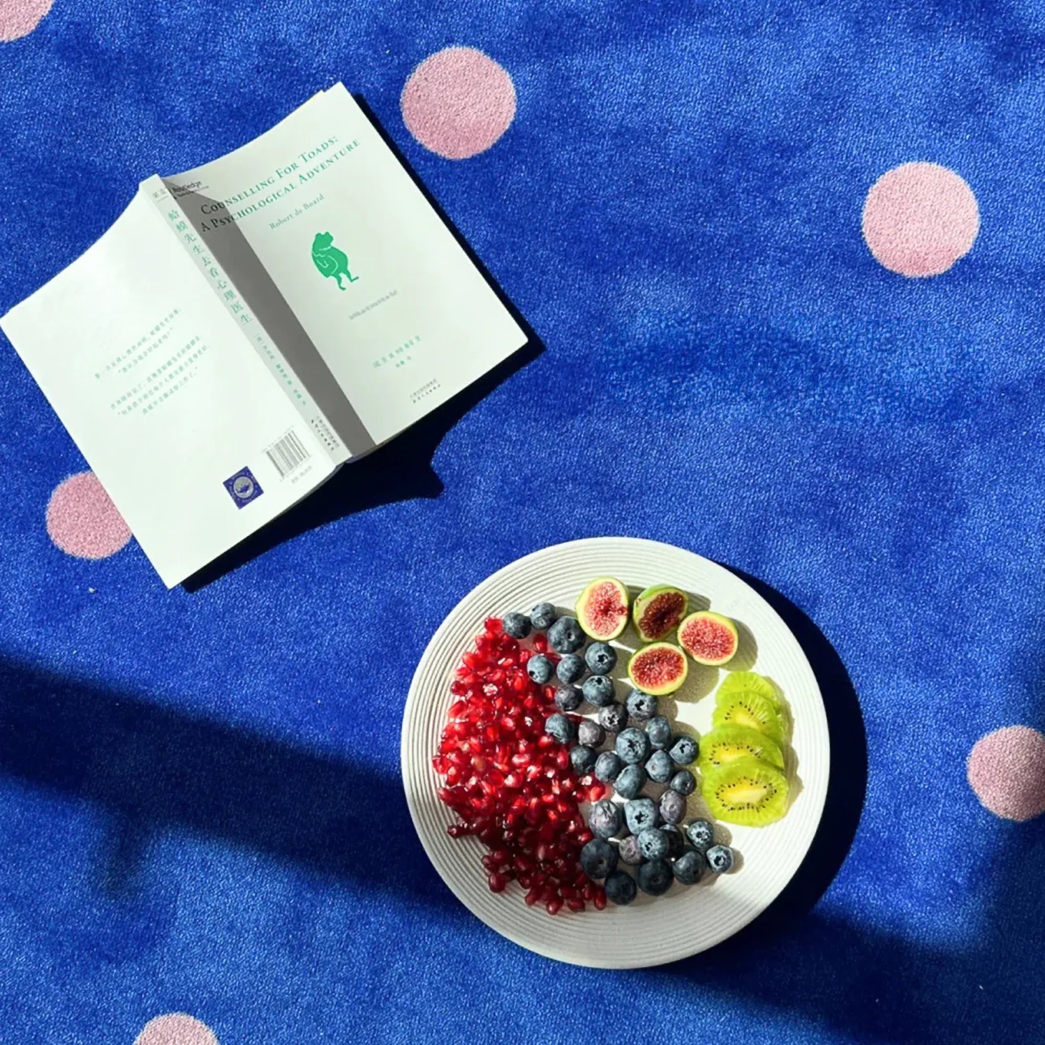 Fruit plate with pomegranate, blueberries, and kiwi on a Klein Blue & Pink Polka Dots Scalloped Rug by Housenfriends with a book.