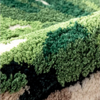 Cassia Forest Green Monstera Leaf Irregular Tufted Rug, high-low tufted pile close-up showing raised leaf veins