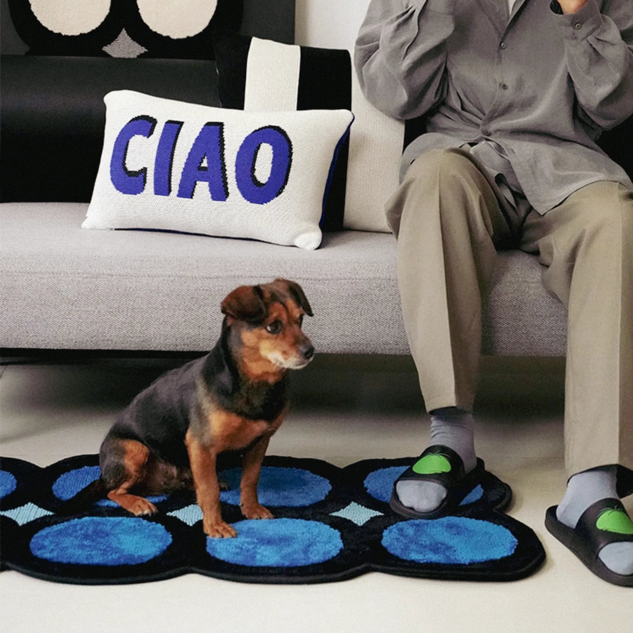 Dog sitting on Blue and Black Polka Dots Rug by Housenfriends in front of a person sitting on a couch with a 'CIAO' pillow.