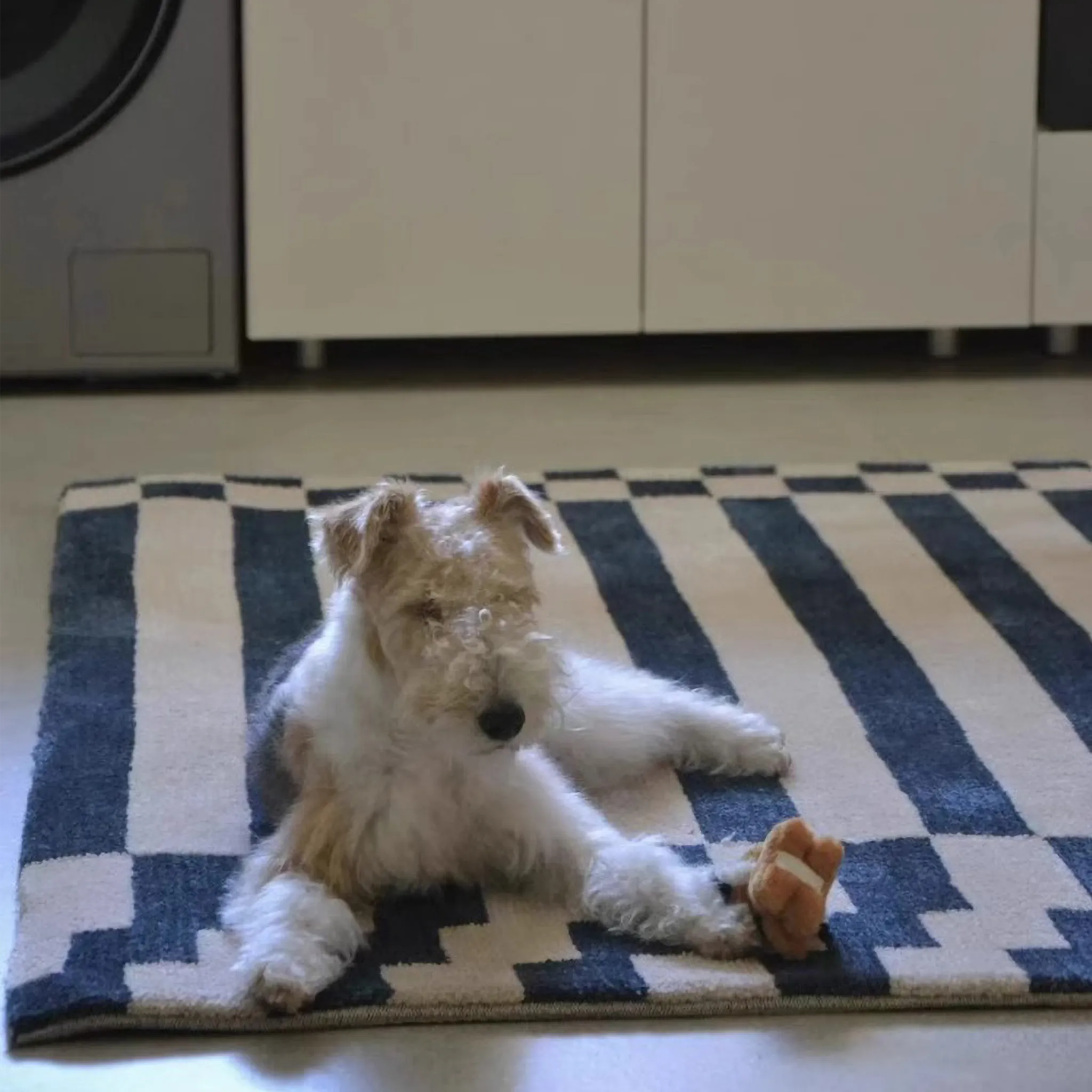 Dog lying on Julian Blue & White Offset Striped Rug in a kitchen.