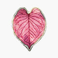 Mina Pink Botanical Heart Leaf Shaped Tufted Rug by Housenfriends on a plain white background.