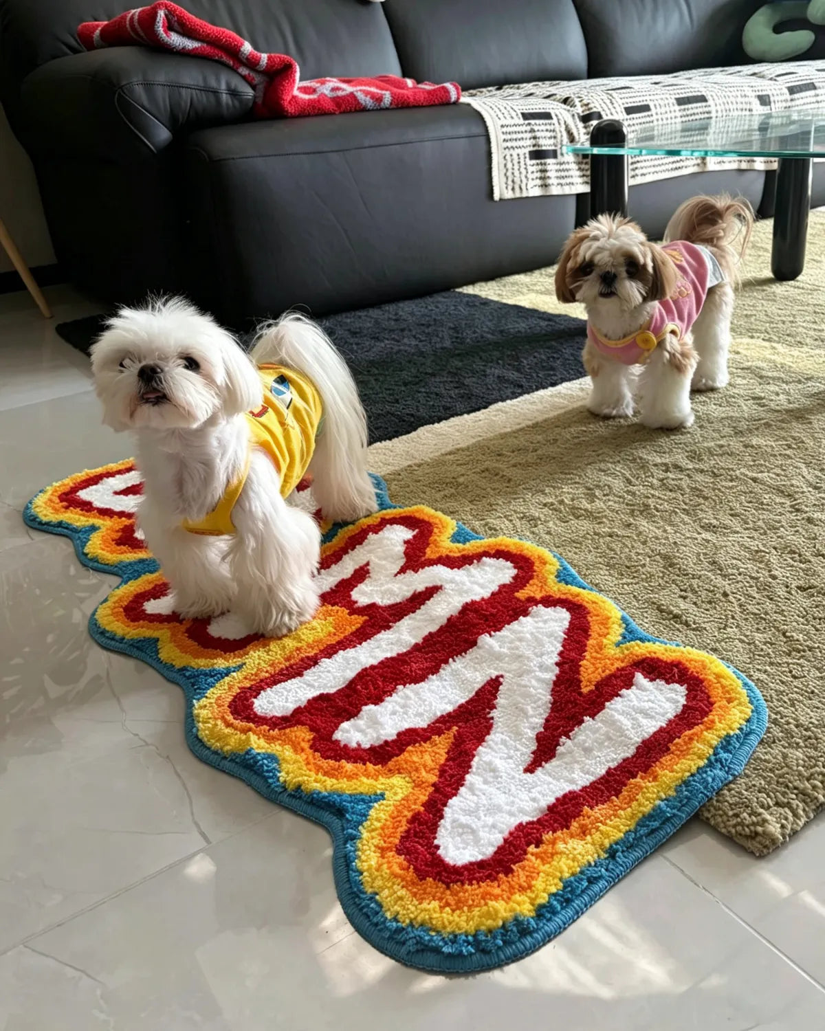 Housenfriends Damn rainbow shag rug with two small dogs in a modern living room.